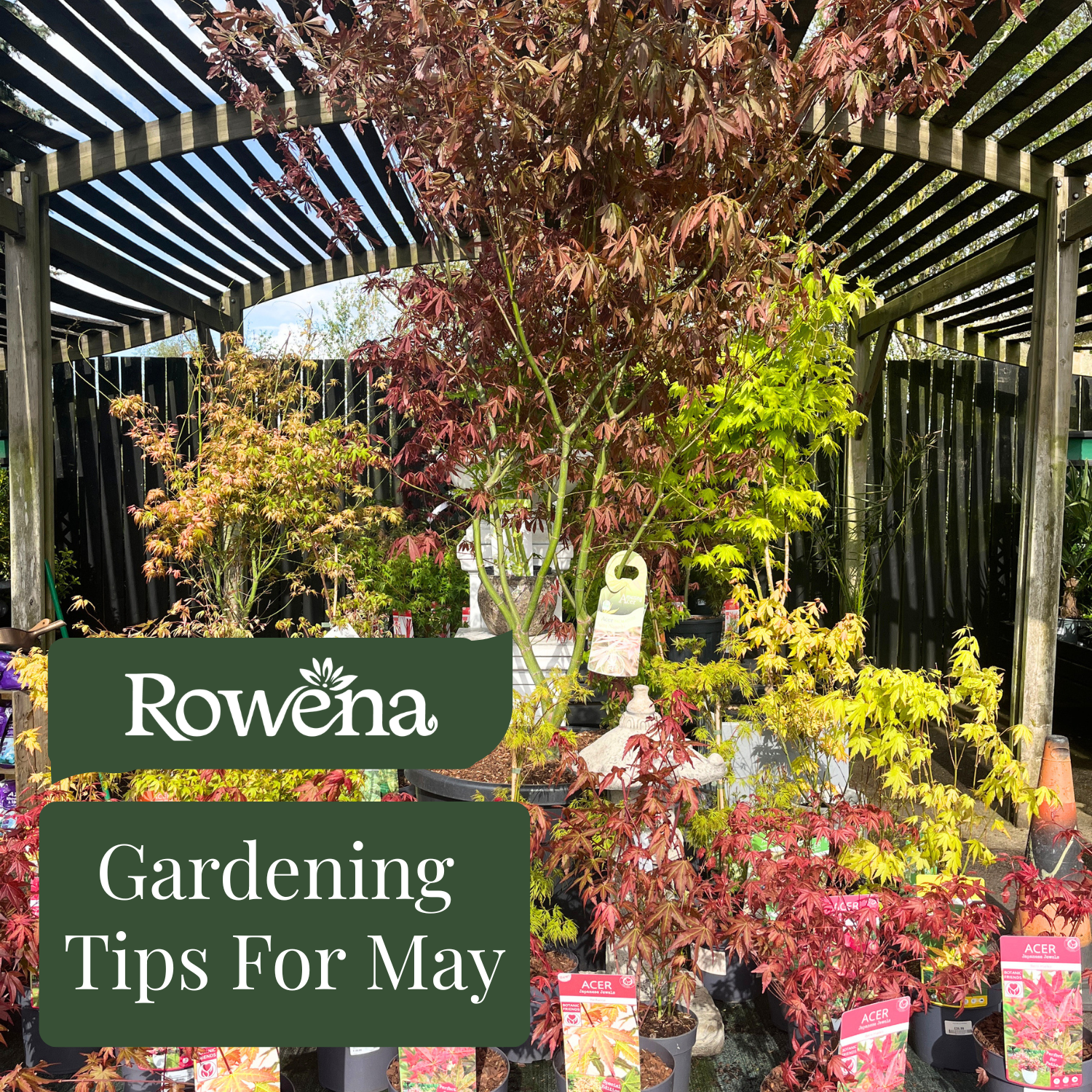 Essential Gardening Tips for May