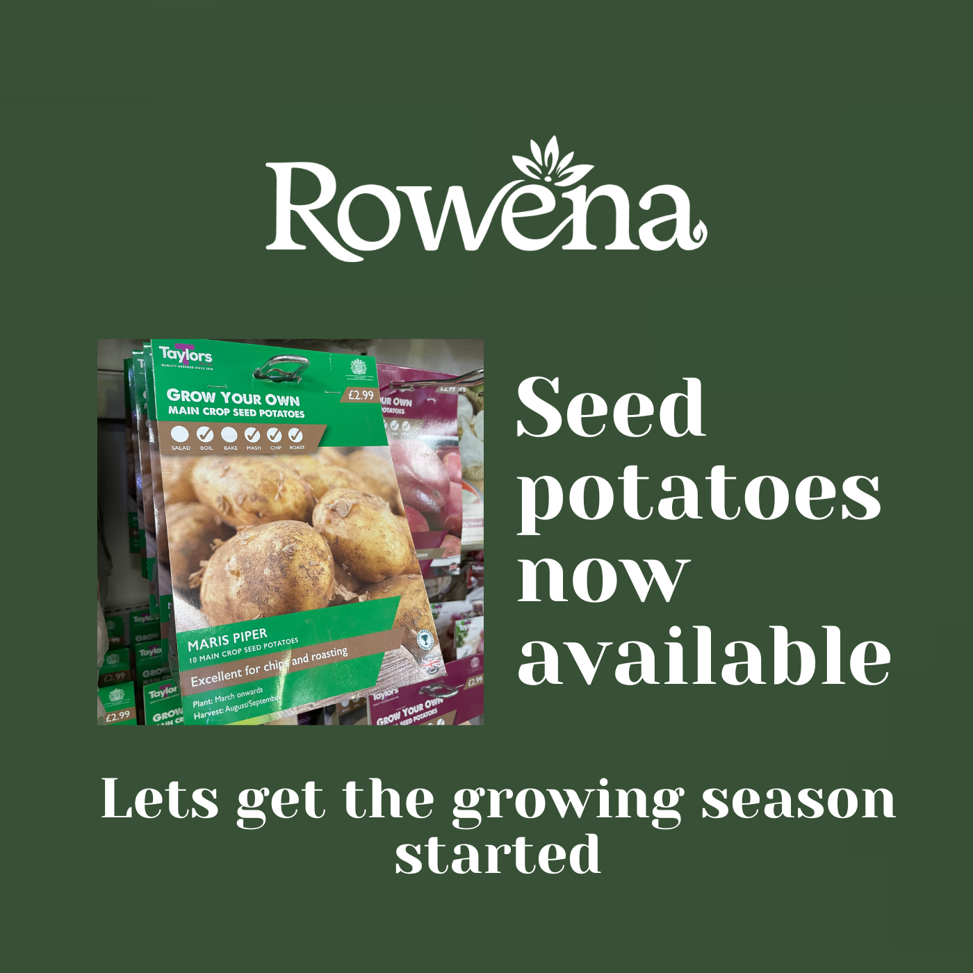 Seed Potatoes In Stock Now