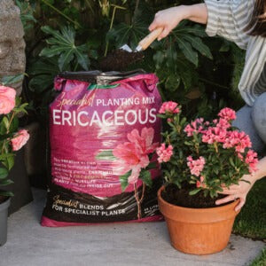 Westland Ericaceous compost being poured into pot