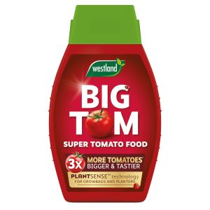 Westland Big Tom Super Tomato Food 1L