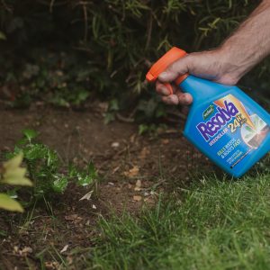 Resolva 24H RTU in use on weeds