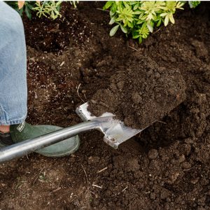 Digging in Westland Top Soil