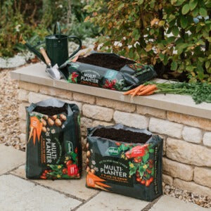 Westland Multi-Planter on patio