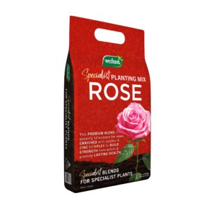 Westland Rose Specialist Planting Mix 10L