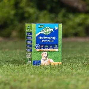 Hardwearing Lawn Seed lifestyle