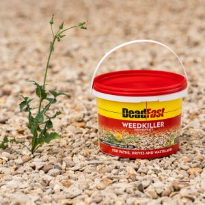 Deadfast Weedkiller Concentrate in use
