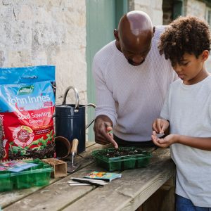 John Innes Seed Sowing Compost seedlings