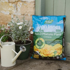 John Innes No.3 Mature Plant Compost lifestyle