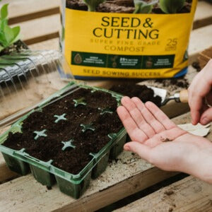 Seed and Cutting Compost on potting table with seed tray
