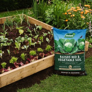 Raised Bed and Vegetable Soil in raised bed full of vegetables
