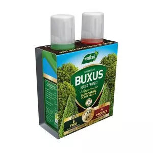 Westland Buxus 2 in 1 Feed and Protect