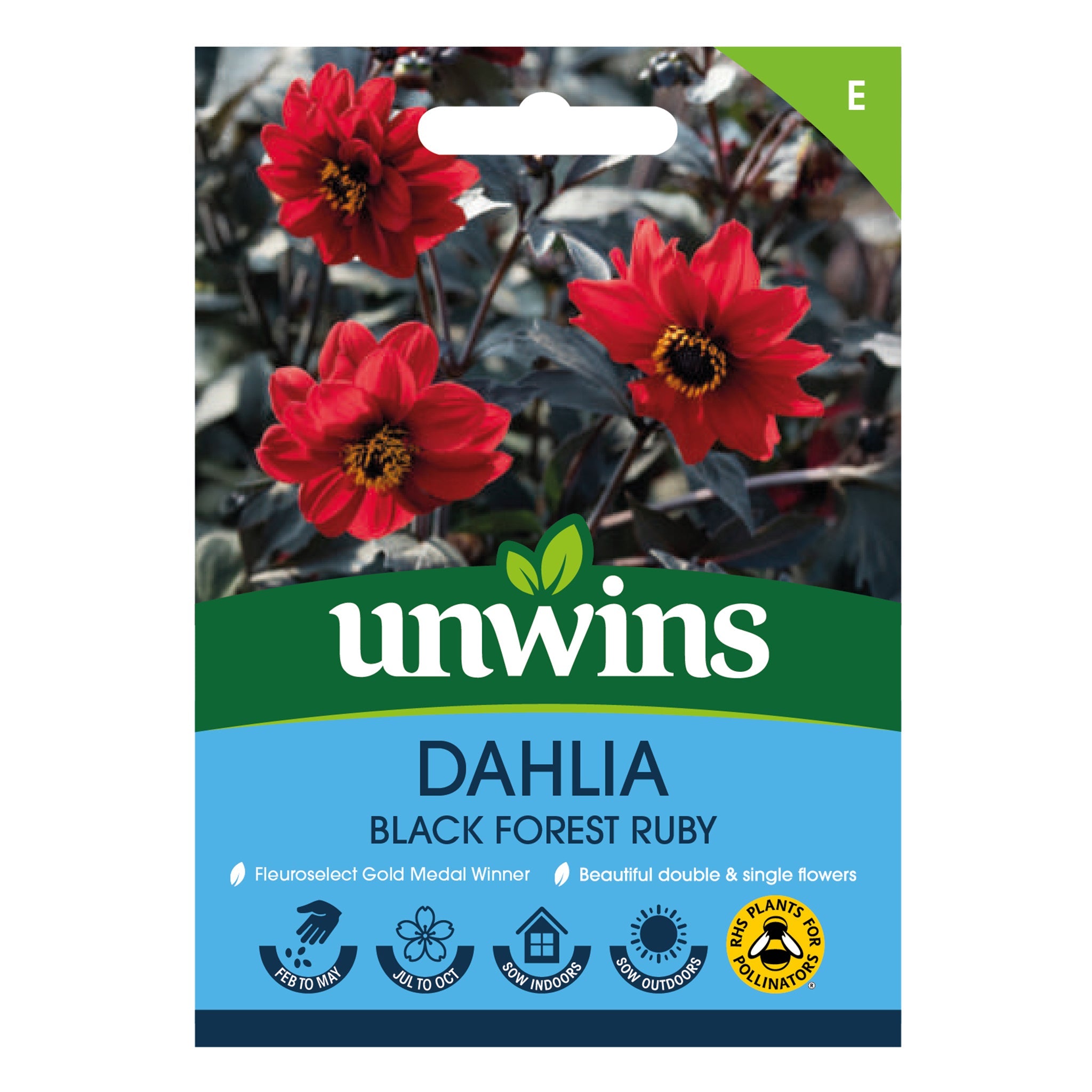 Unwins Dahlia Pinnata Black Forest Ruby seeds