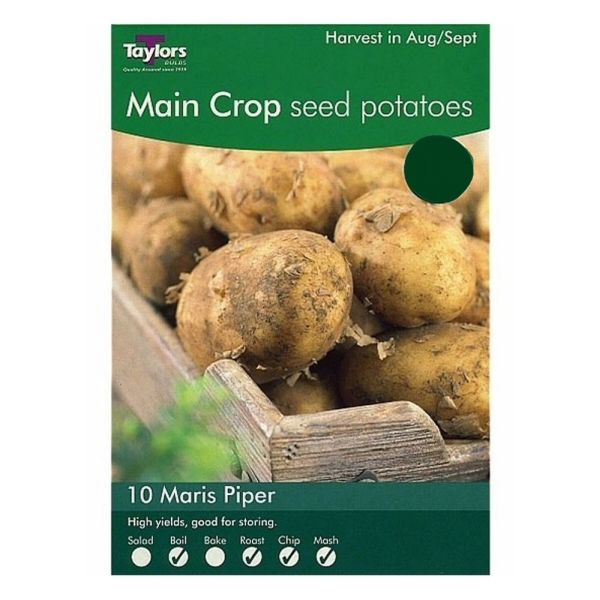 Taylors Bulbs Maris Piper seed potatoes