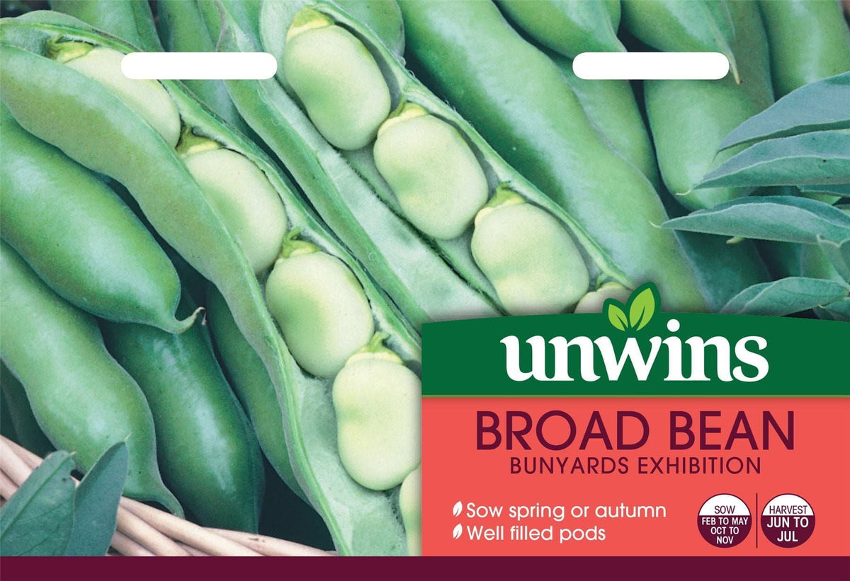 Unwins Broad Bean Bunyards Exhibition Seeds