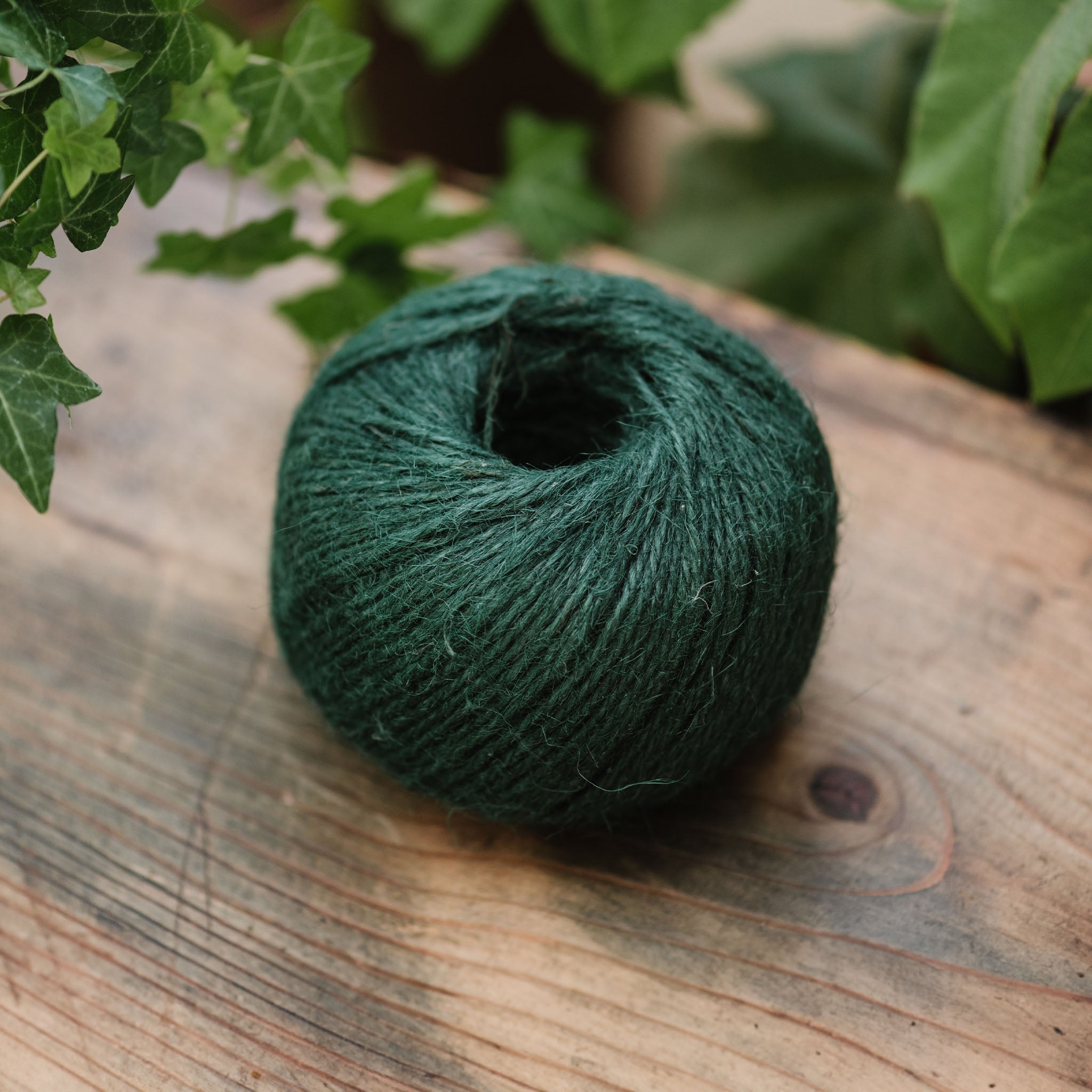 Kent & Stowe Jute Twine Bleached Green 150m detail