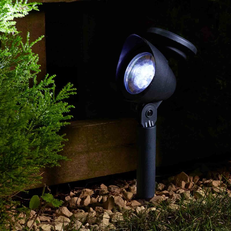 Prima 5L Spotlight