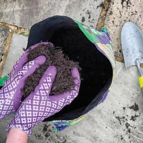 Bulb Fibre Compost with tulips