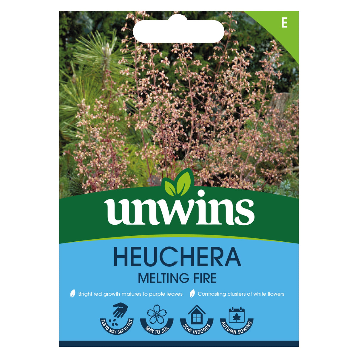 Unwins Heuchera Melting Fire seeds
