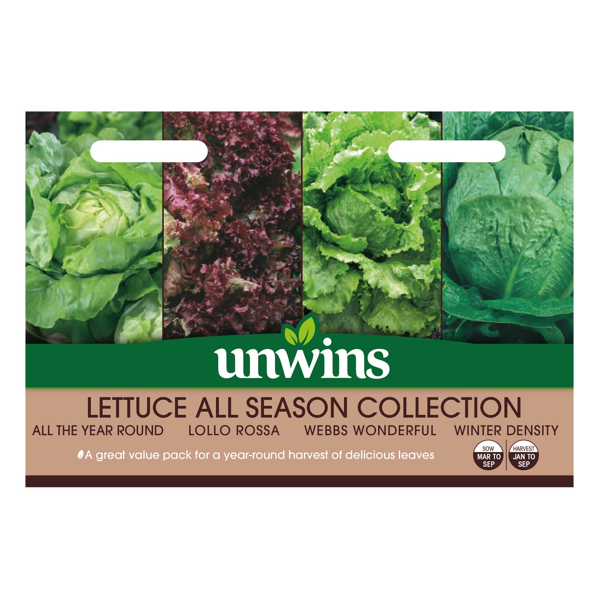 Unwins Lettuce All Season Collection Pack seeds