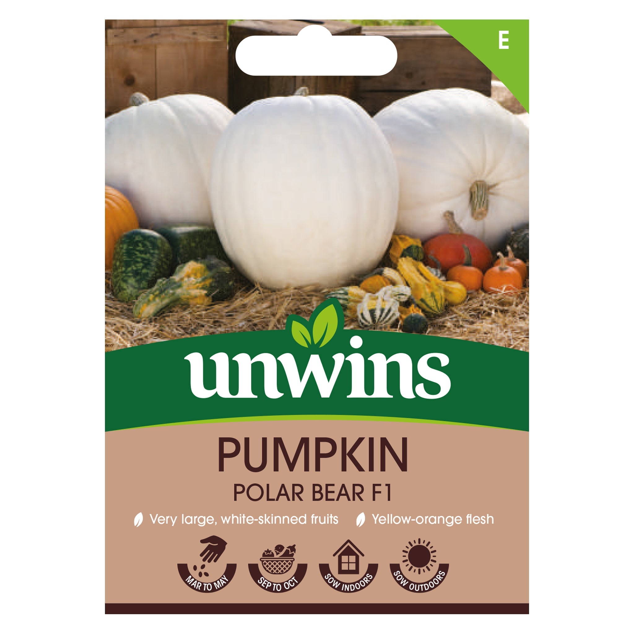 Unwins Pumpkin Polar Bear F1 seeds