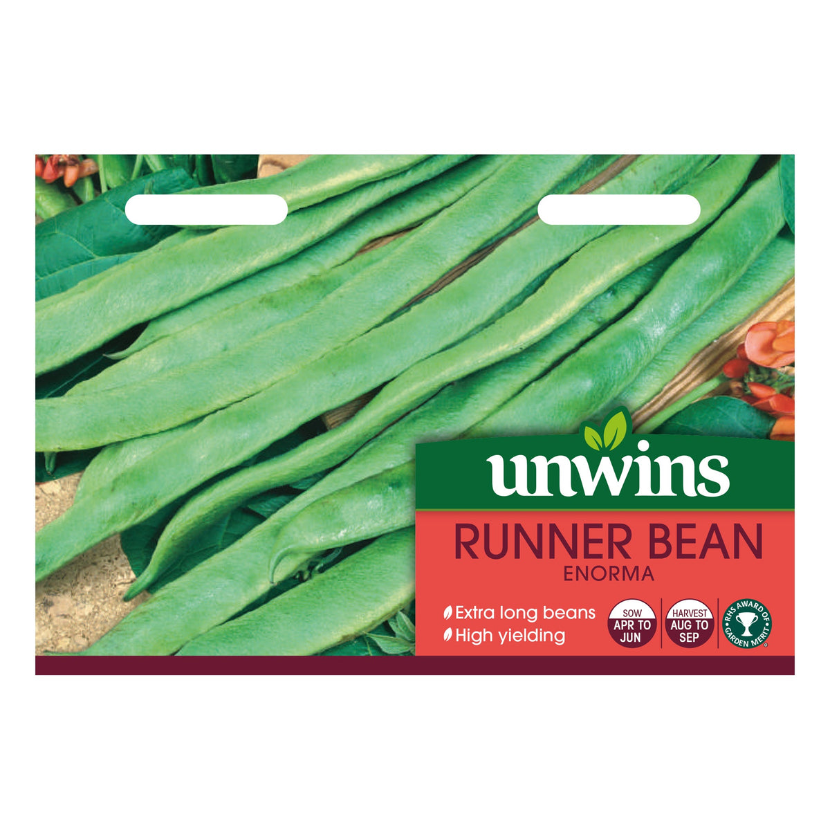 Unwins Runner Bean Enorma Seeds