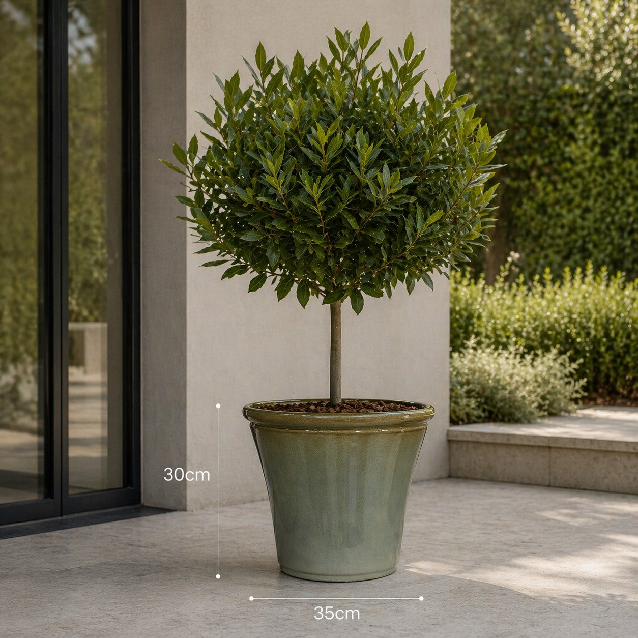 Hortus Lite - Glaze Plastic Rolled Rim Planter - Olive Green - Dia 35 x Height 30cm lifestyle - fibreglass stone-effect planter with lush greenery on modern garden terrace