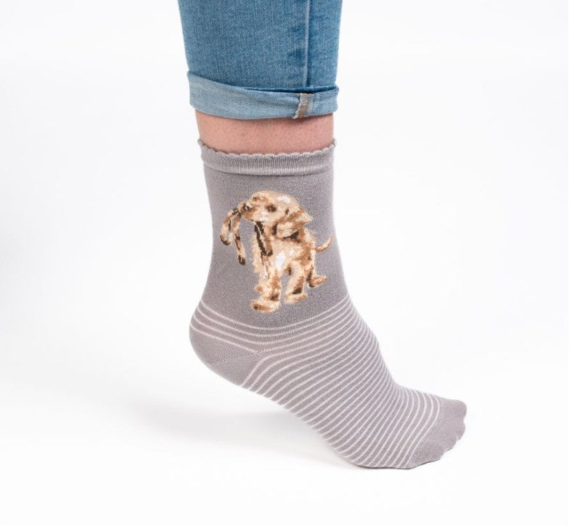 Dog Sock - Hopeful