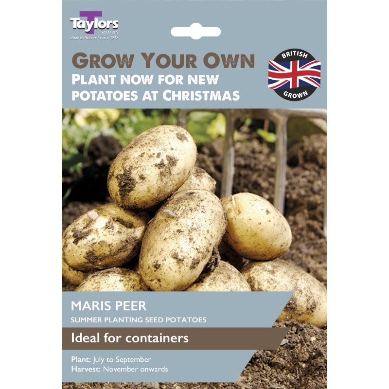 Taylors Bulbs Maris Peer seed potatoes