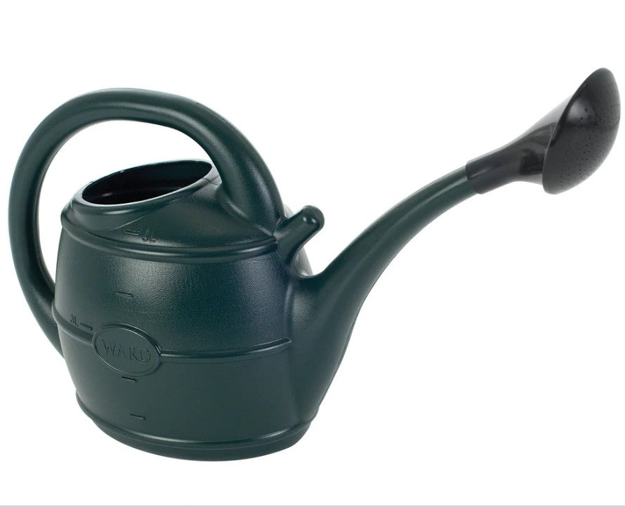 Ward 13L Watering Can with Rose
