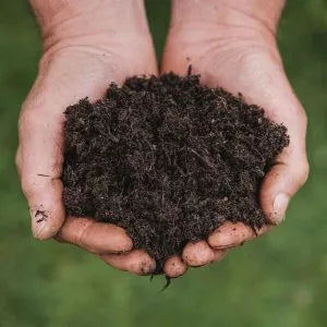New Horizon All Plant Compost in use