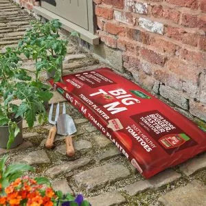 Big Tom Tomato Planter lifestyle