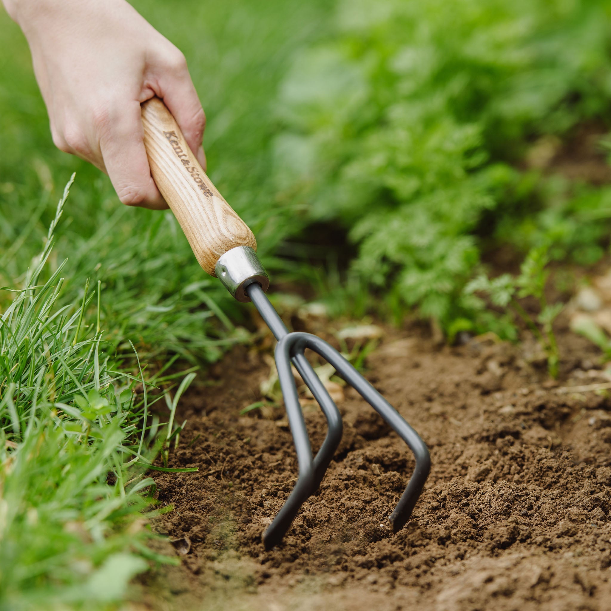 Kent & Stowe Carbon Steel Hand 3 Prong Cultivator detail