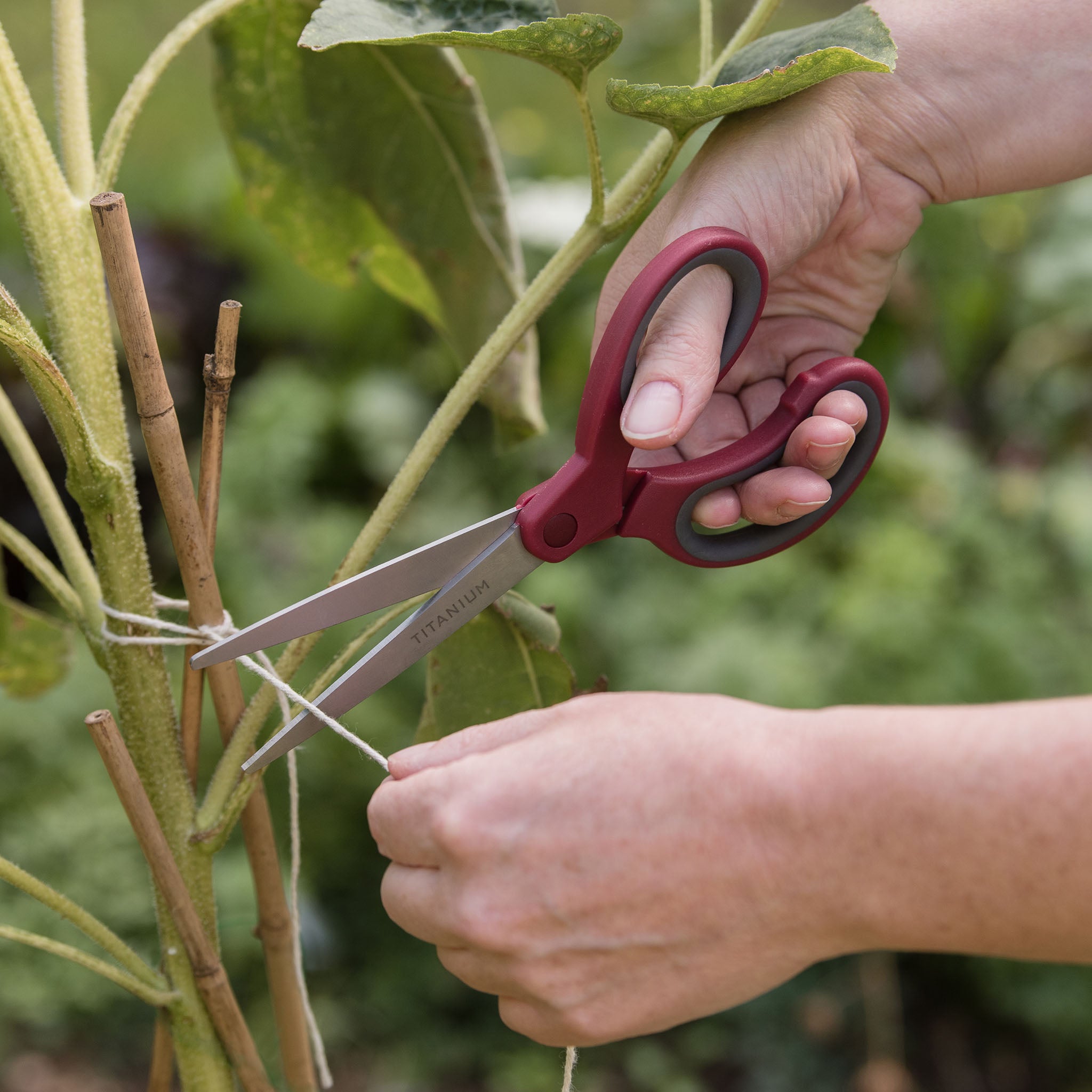 Kent & Stowe Home & Garden Scissors in use