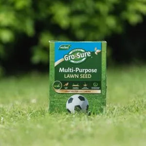 Multi-Purpose Lawn Seed in situ