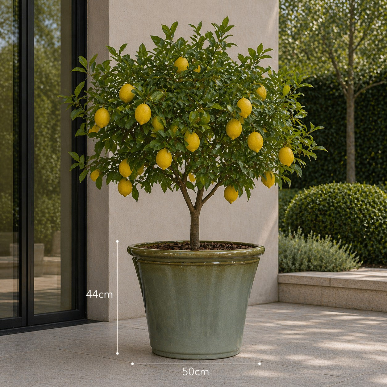Hortus Lite - Glaze Plastic Rolled Rim Planter - Olive Green - Dia 50 x Height 44cm Dia50 - fibreglass stone-effect planter for indoor and outdoor use