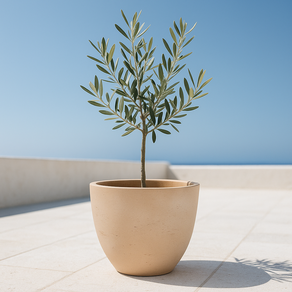 Hortus Classic Corsica Flared Planter lifestyle - fibreglass stone-effect flared planter with Mediterranean plants on contemporary Mediterranean terrace