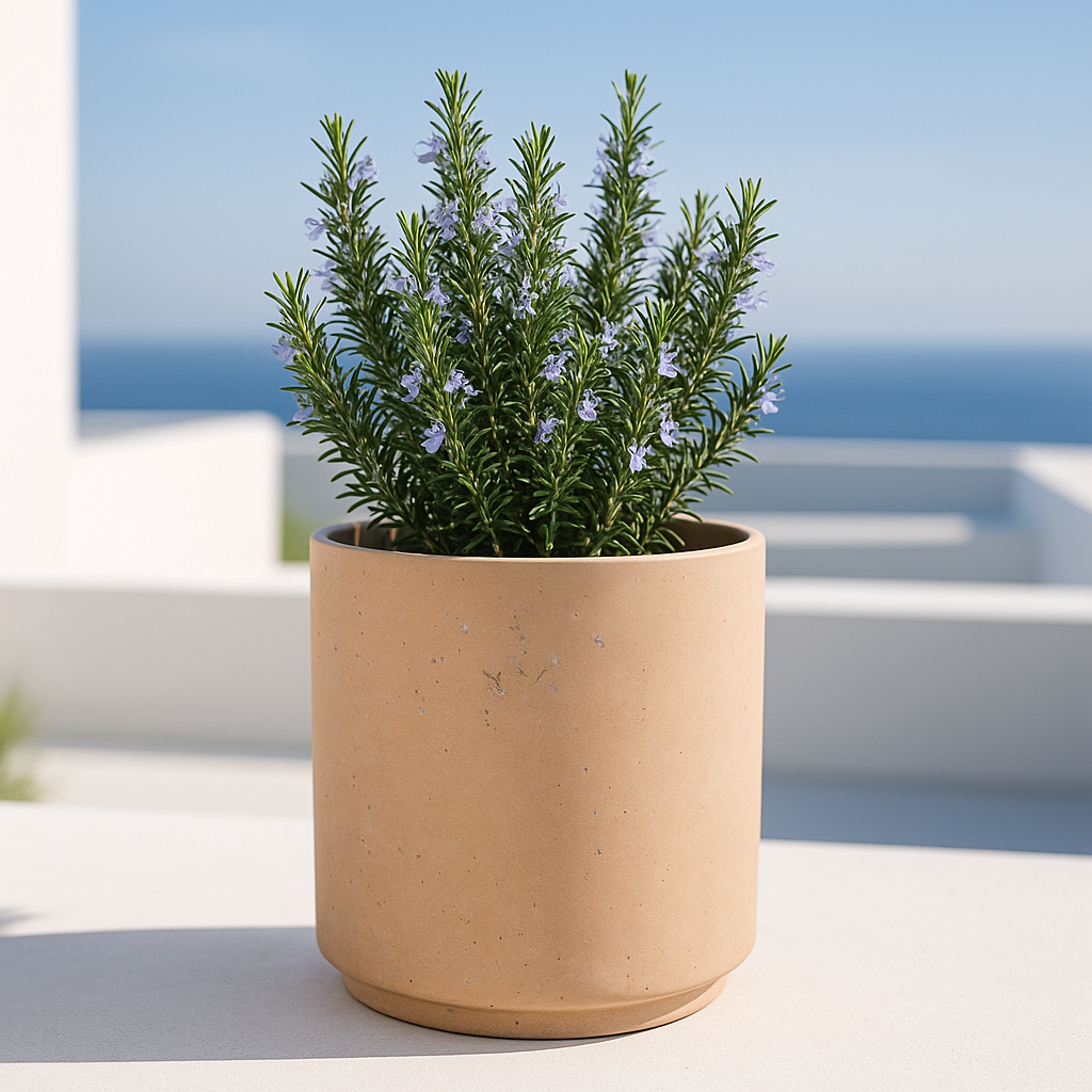Hortus Classic Cylinder lifestyle - fibreglass stone-effect cylinder planter with Mediterranean plants on contemporary Mediterranean terrace