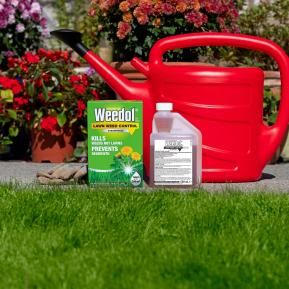 Weedol LN Lawn Weed Control lifestyle