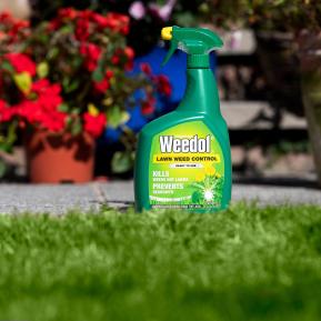 Weedol LN Lawn Weed Control in use
