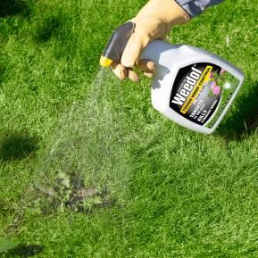 Weedol Tough Weed Control in use