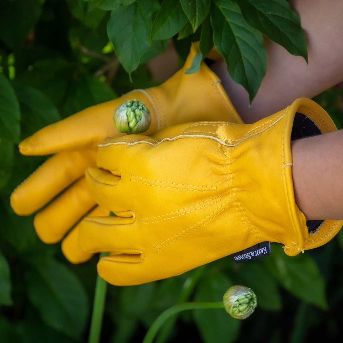 Kent & Stowe Luxury Leather Gloves in use