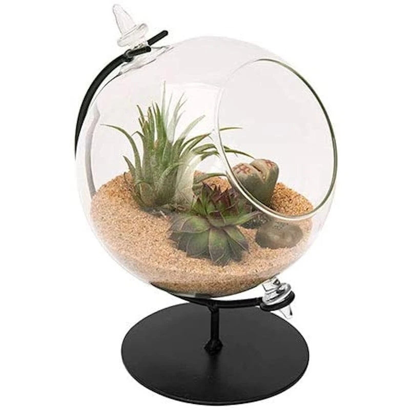 Desktop Glass Terrarium Planter and Metal Stand