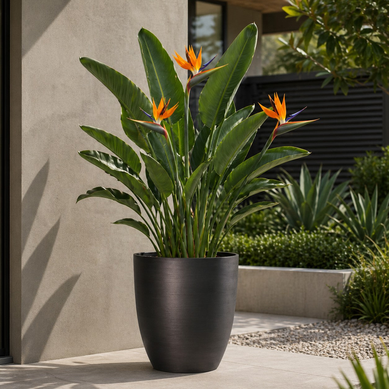 Hortus Lite - Metallic Look Plastic Shaped Planter - Dk Grey - Dia28 x H34cm lifestyle - metal planter with lush greenery on modern garden terrace