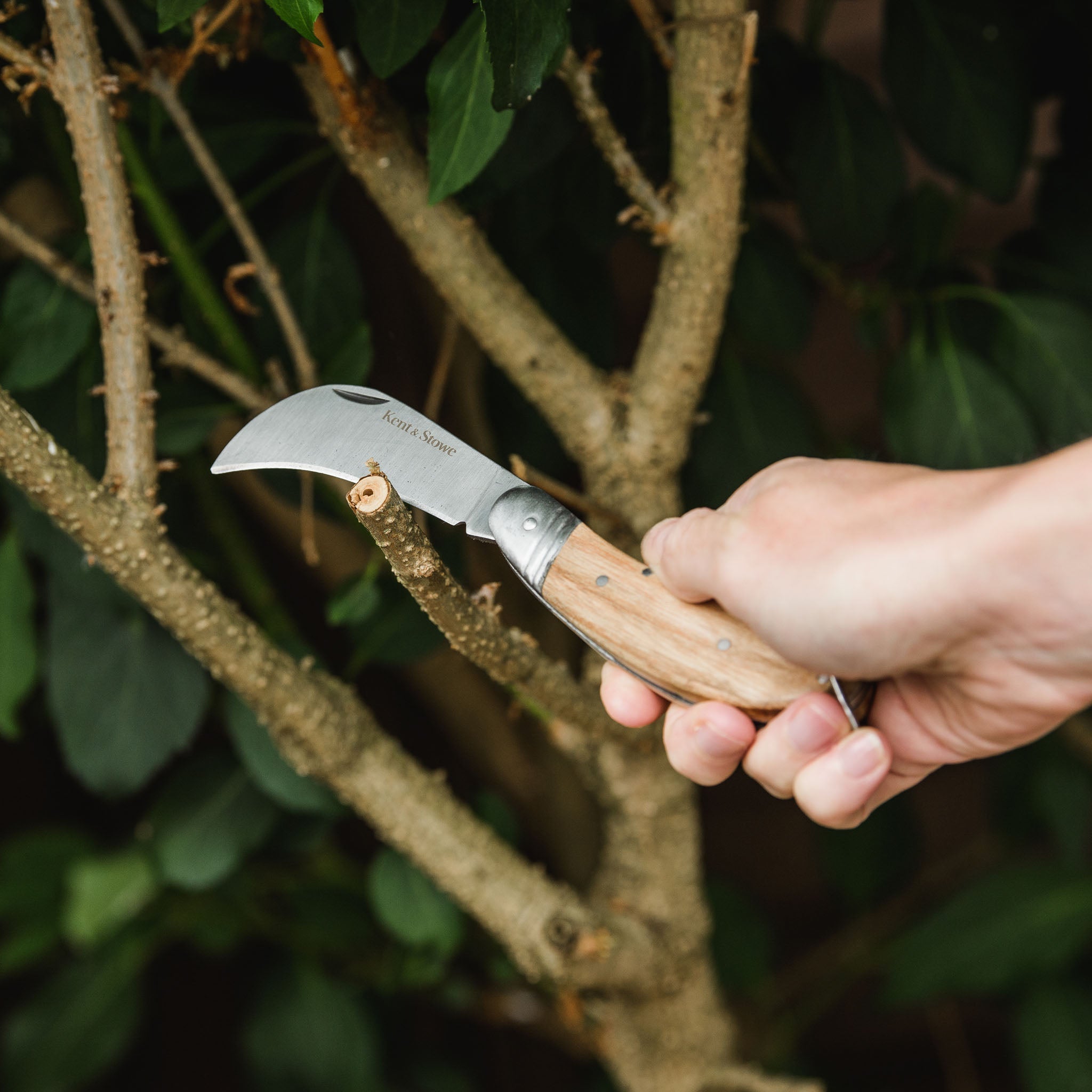 Kent & Stowe Pruning Knife in use