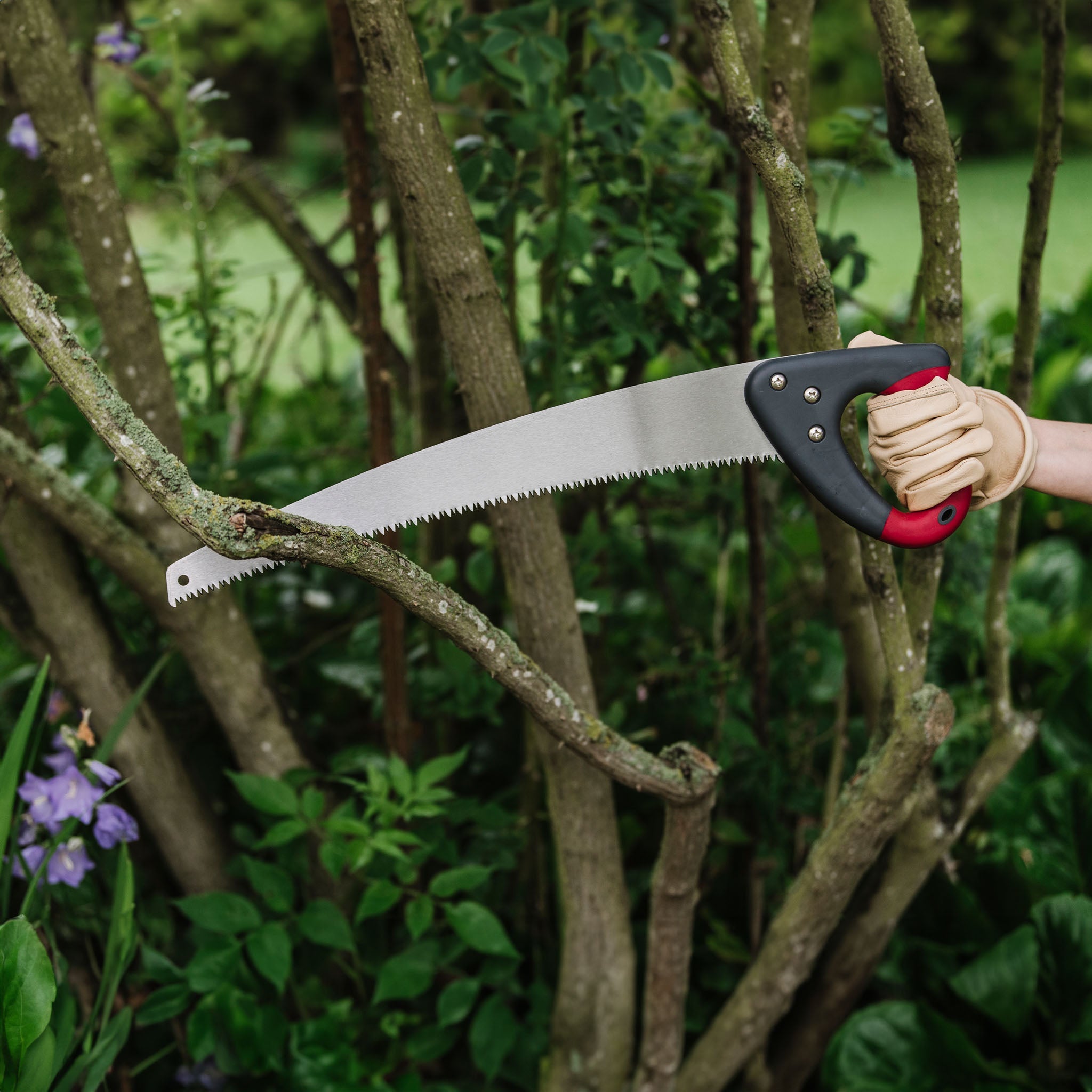 Kent & Stowe Pruning Saw blade detail