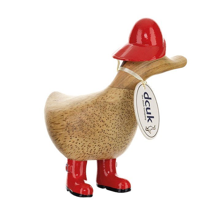 Rainy Day Ducky 4