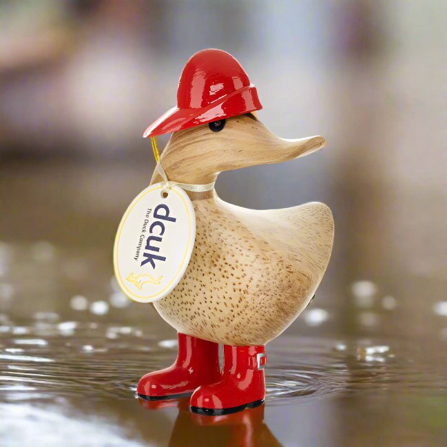 Rainy Day Ducky 2