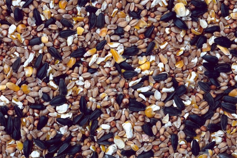 HB Superior Seed Mix 12.55Kg.H030000