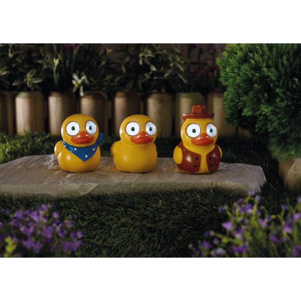 Lucky Ducky!