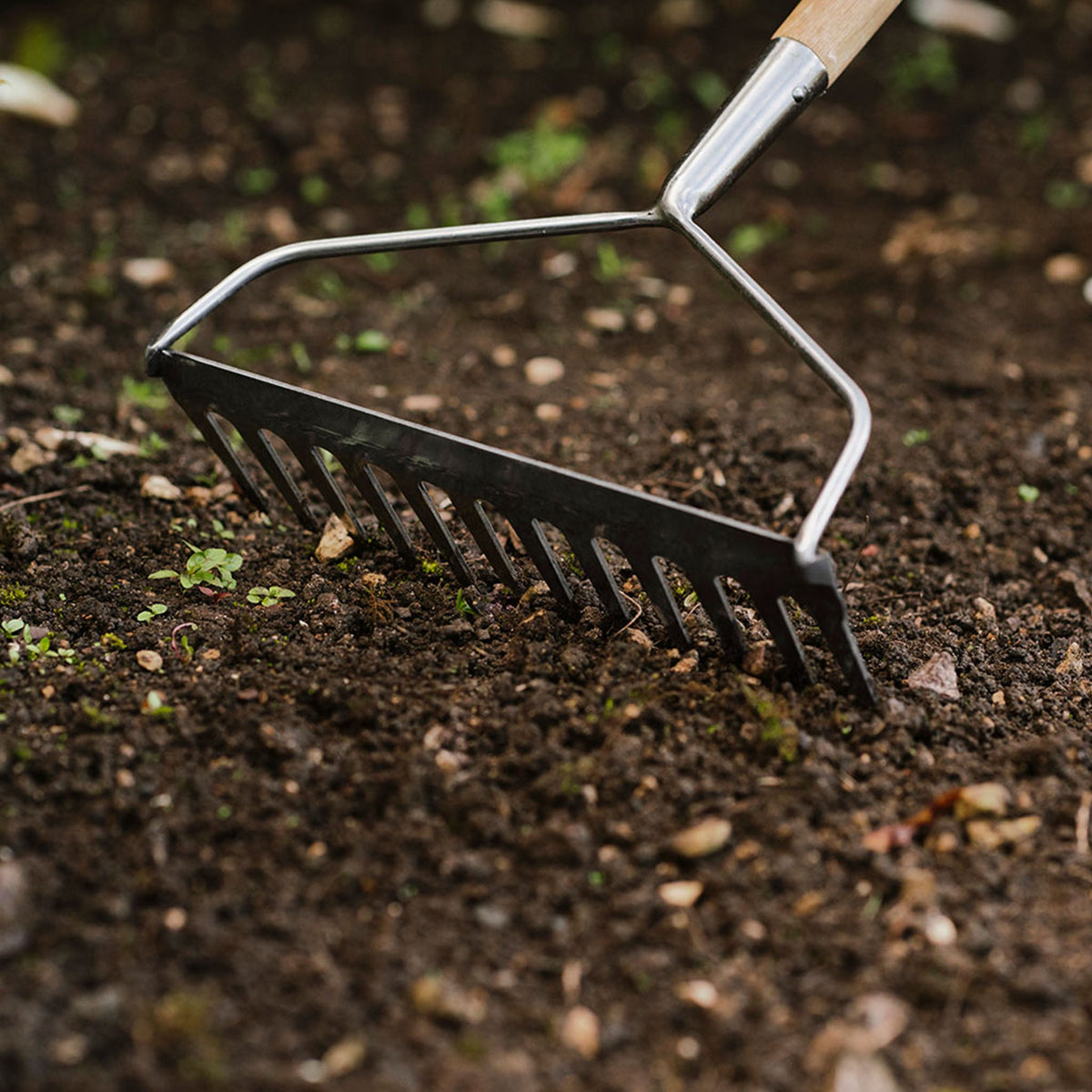 Kent & Stowe Stainless Steel Soil Rake head detail
